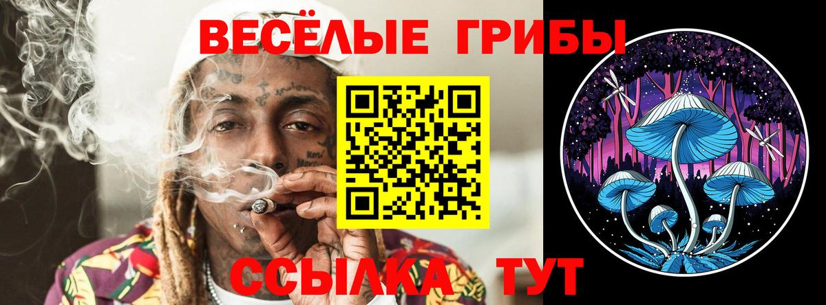 Галлюциногенные грибы прущие грибы  Вход с VPN  Галлюциногенные грибы Psilocybe  Новотроицк 